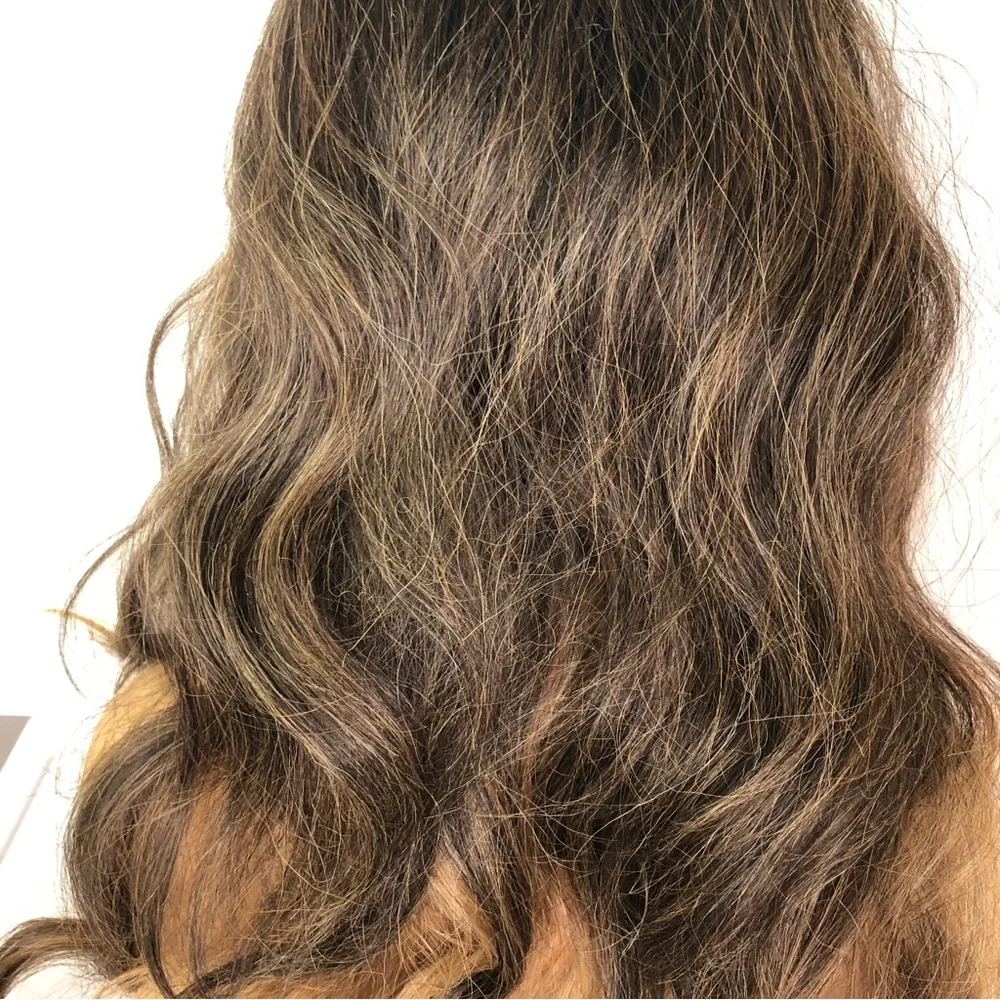 Ash PERFECT Blonde & Brown VALENTINO Long Straight Lace Wig Color FFHOTCHOCO